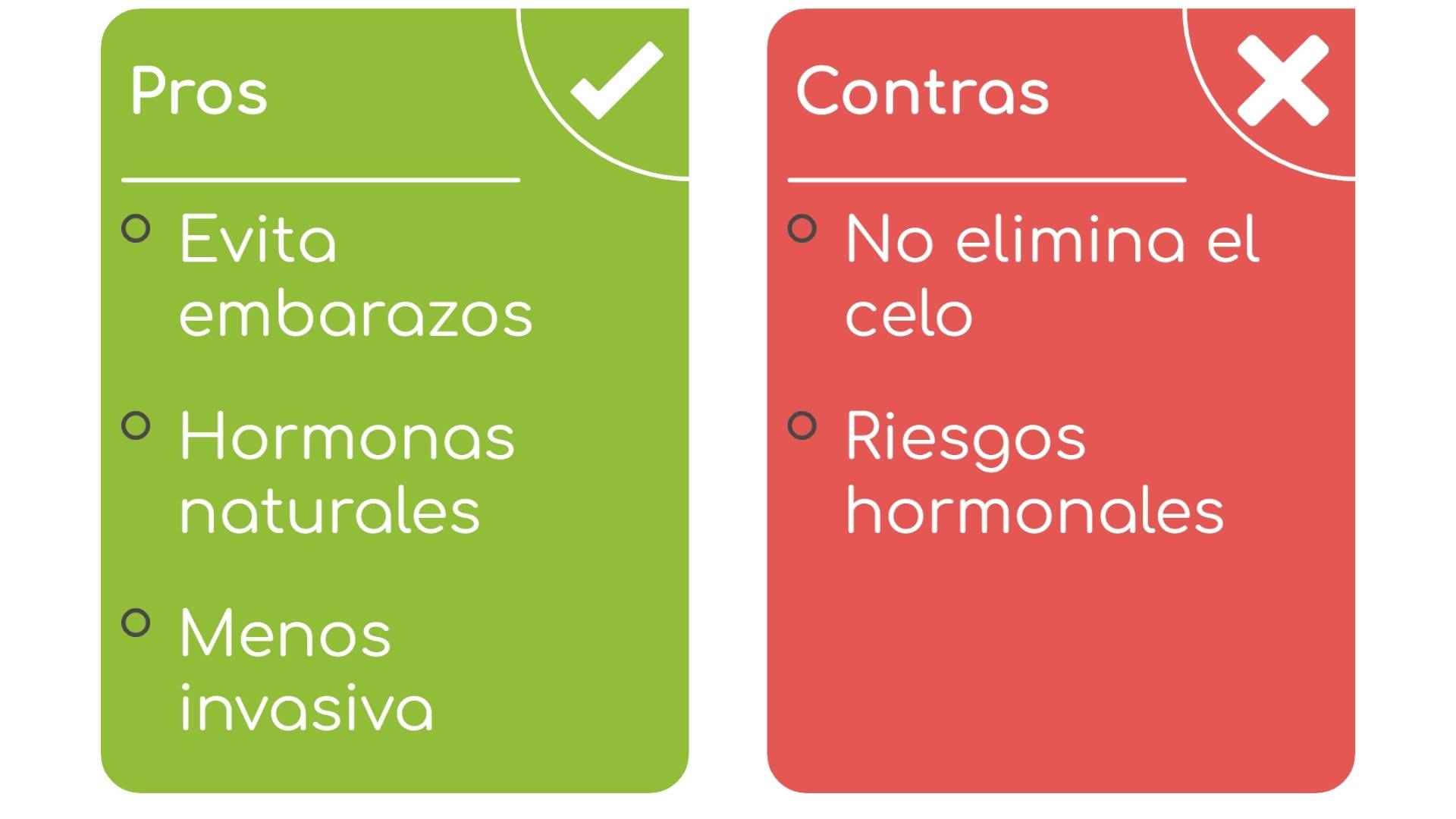 pros y contra de la esterilizacion en perras